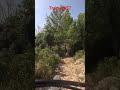 Trace 0457 #mtb #vttxc #vtt #vtt.wf