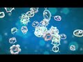 Función de Grado 3 aplicada a la Biología | Crecimiento de Bacterias