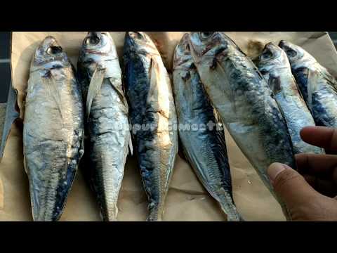 Video: Ikan Haring Asin Rumahan
