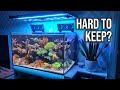 Easy Saltwater Aquarium Setup & Maintenance π | Tips for a Stunning Reef Tank