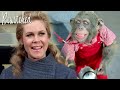 Samantha Must Find The Monkey! | Bewitched