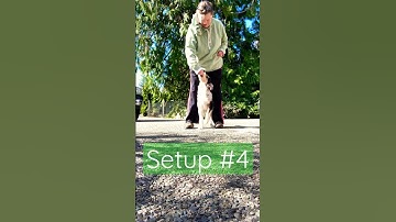 Agility Start Line Setups and One Ending