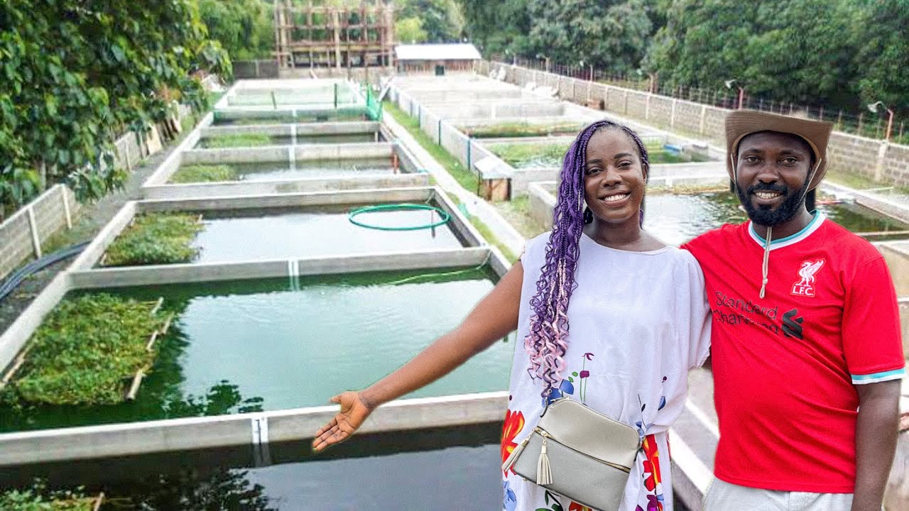 How This Nigeria Couple Started A Profitable Fish Farm In Africa