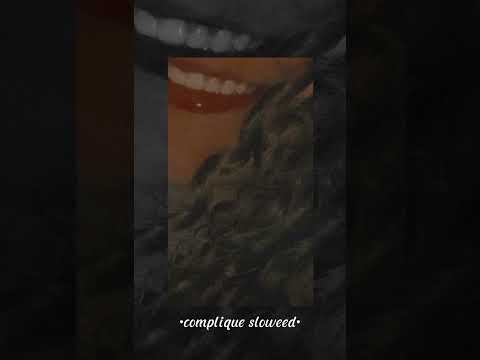 compliqué- Merveille (