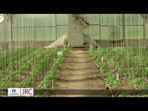 ses aziuri farosana satburebshi jer ar dafiqsirebula