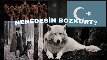 Abdurehim Heyit-Qeni Kök Böre/Çeviri/Şavaşçı