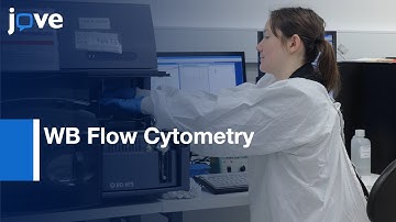 WB Flow Cytometry Analysis for Characterizing Monocyte Subset | Protocol Preview