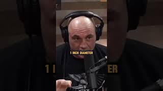 Elon Musk Reveals New Details About Neuralink