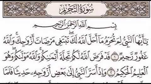 القارئ سلمان العتيبي سورة التحريم