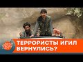 ИГИЛ снова атакует! Какими будут последствия для мира — ICTV