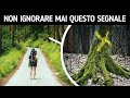Oltre 100 Consigli di Sopravvivenza per Quando il Gioco si Fa Duro