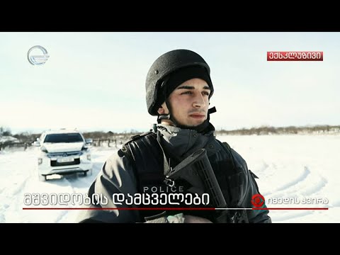 მშვიდობის დამცველები