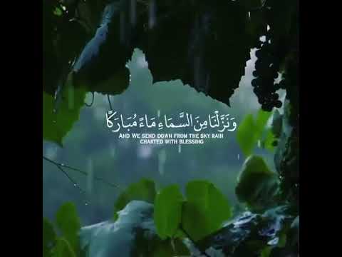 و ن ز ل ن ا م ن الس م اء م اء م ب ار ك ا ف أ نب ت ن ا ب ه ج ن ات سورة ق اسلام صبحي آيات