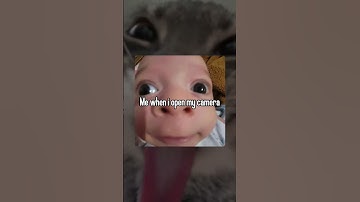 Day 9 posting memes until I hit 1M subs