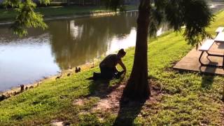 Gator Trapper
