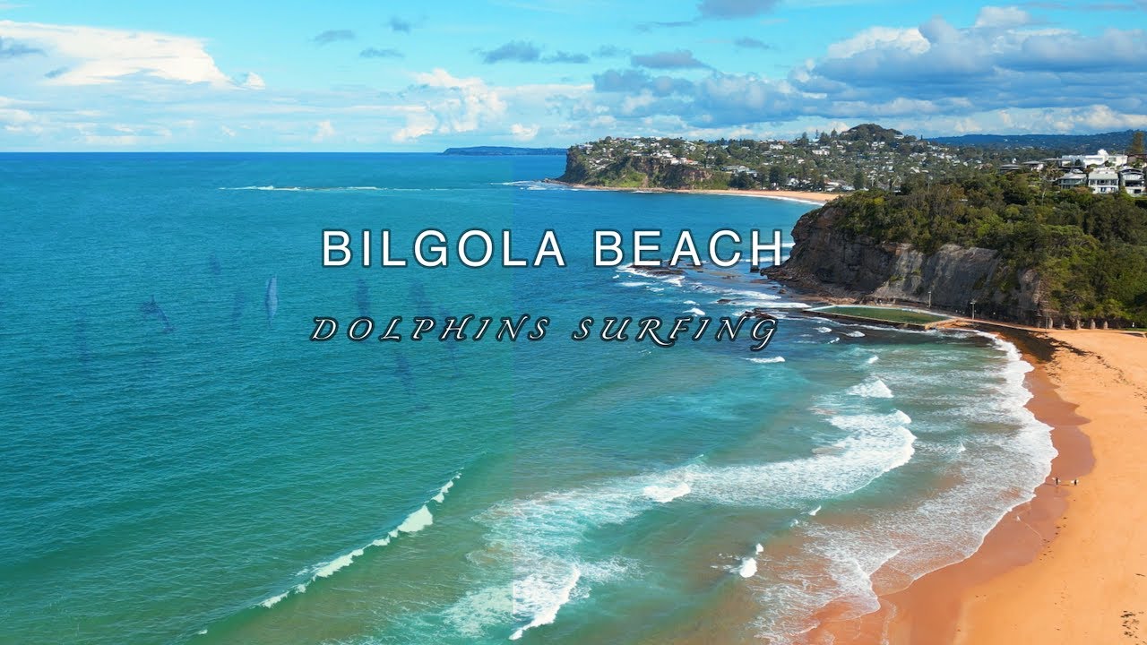 FLYING OVER NORTHERN BEACH (SYDNEY AUSTRALIA) ll DOLPHINS SURFING lll