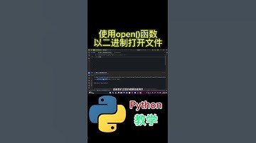 使用open()函数 以二进制打开文件 #python tutorial #python #python教学 #python编程  #python入门 #coding #基础代码