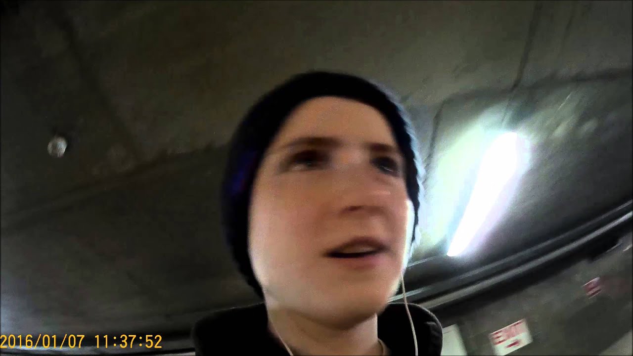 ADITL 1 deep fried fish