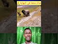 Respect💯 Greatest Save❤️ #shorts #short #status #humanity #viral
