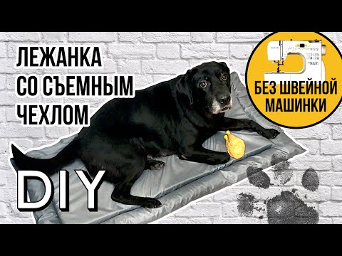 Лежанка для большой собаки СВОИМИ РУКАМИ🐾