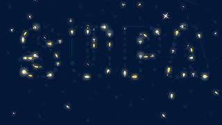 Merry Christmas from Multibrands International!