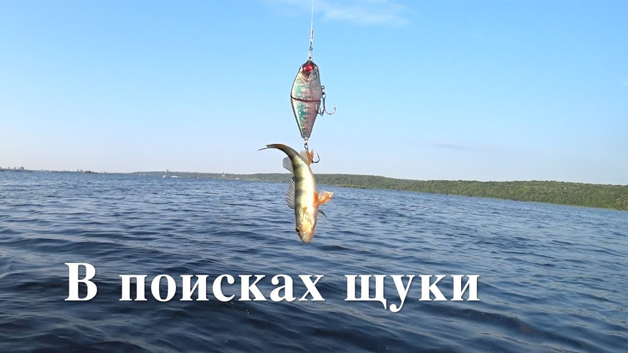 Доктор зай рыбалка воронеж