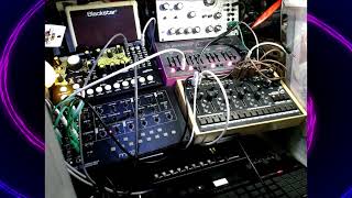 Semi modular Jamary 2026(West Pest,Hades,Mavis,Hyponosis)