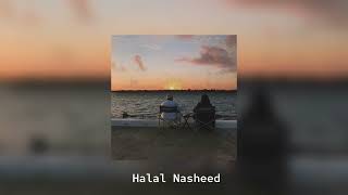 Halal Nasheed / Красивый нашид / Iman Islam.