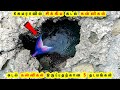      mermaid fish in real life  animal fish tamil galatta facts gkfox