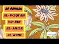 Beautiful QURAN Recitation ✪ Saad Al Ghamdi | AR RAHMAN | ALWAQIAH |ALMULK | AL KAHF | YASSIN