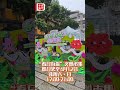 【#澳日快趣】春日有你 吃喝盡興