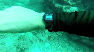 CASIO F91W diving at 10 metres