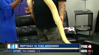 Meeting Jake the Snake