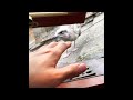 Trying To Pet My Pet Seagulls Baby...