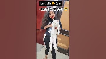masti with catu 😂 #Funny video ,Ai video comedy ,Tranding video, viral video #youtubeviralshorts
