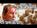 ЦЕЛАЯ КУЧА ТАРАКАНОВ У БАБУШКИ. посылка для стариков с Германии