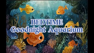 Bedtime Goodnight Aquarium