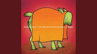 Blood - Andrew Bird