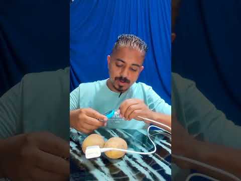 تجربة شحن الفون من البطاطس بدل الباور بنك ياترى بلح ولا مش بلح دويتو  ضحك