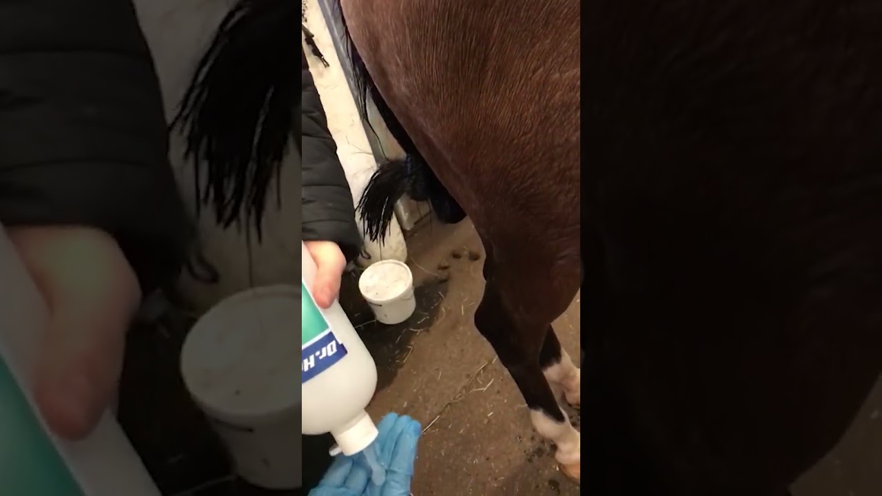 Dr. Horse Arnica Classic, MSM 2-teholinimentti ja Asper Cool Kylmälinimentti