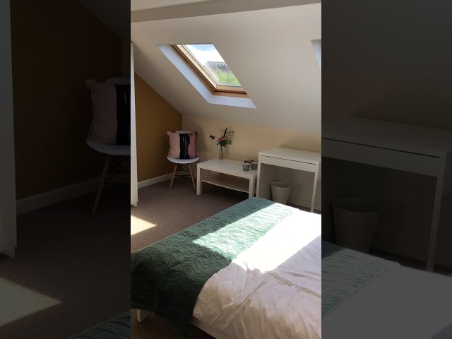 Video 1: Huge, bright room with fridge, microwave, sink @no.63