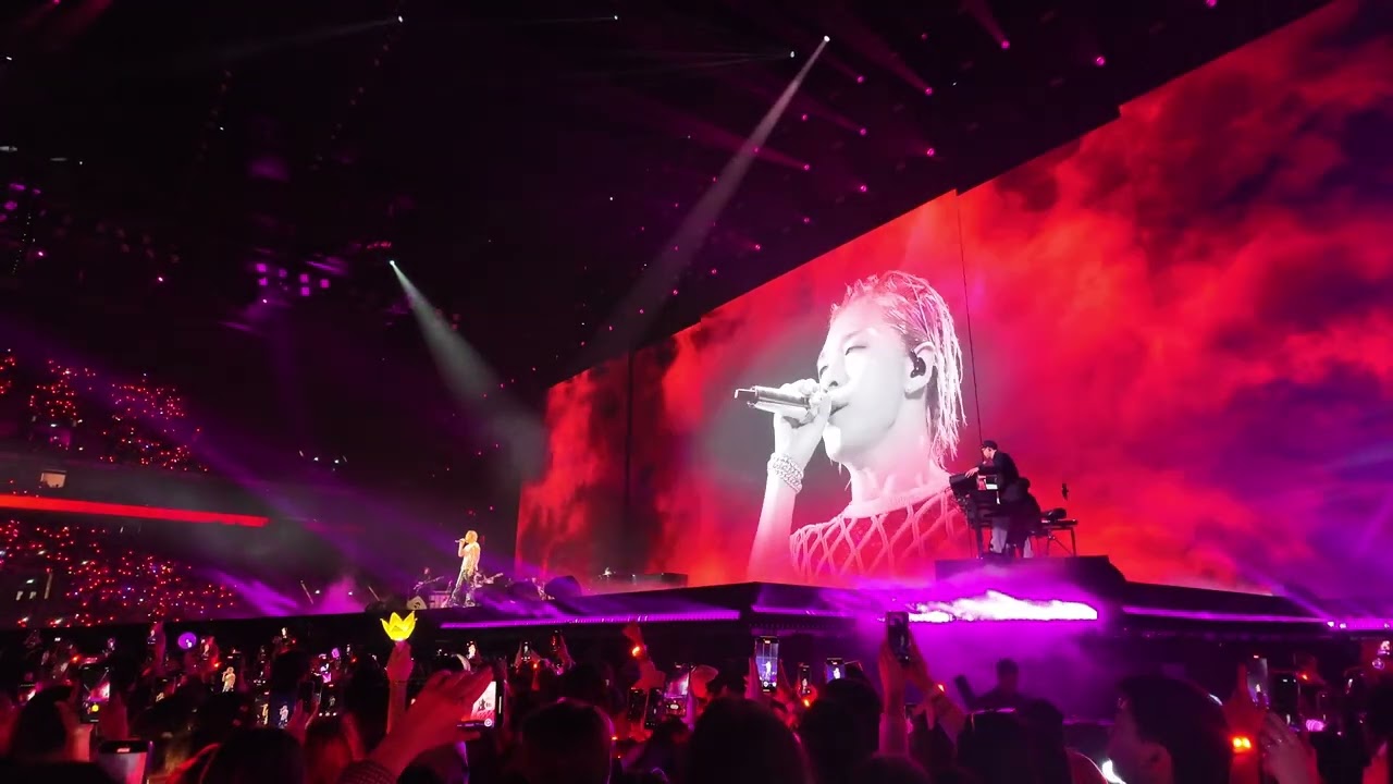 TAEYANG at the Gala des Pièces Jaunes 2025