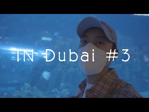 [ENG] Dubai #3 (두바이 몰 아쿠아리움 탐방기)