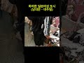 일본 여성들의 토시