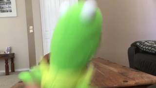 KERMIT MEME #2