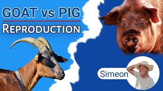 Goat vs Pig: EVERYTHING about REPRODUCTION by AniBusiness 762 views 3 weeks ago 18 minutes