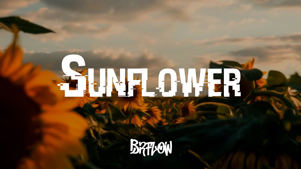 Post Malone, Swae Lee - Sunflower (Flowas Remix) - YouTube