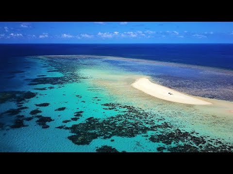 Stranded on a Deserted Island with Amazing Fishing | Stranded Part 2