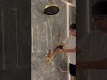 💧 Step into the Future of Showers: Our Revolutionary Shower System 💧
