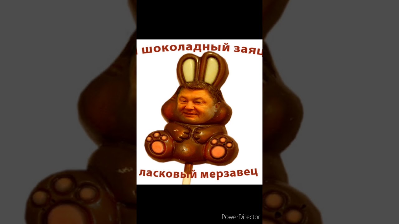 Песни шоколадный заяц пьер